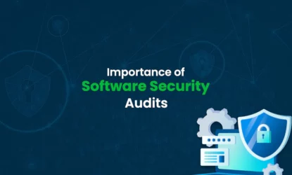 Importance of software security audits